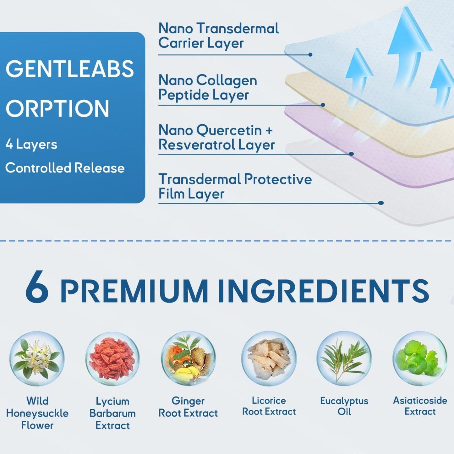 FDA Approved Tiworld™ DoubleNano COPD Relief Patch (💝 Cough, wheezing, shortness of breath, sputum, stuffy nose, bronchitis, bronchitis, allergy symptoms, lung discomfort)